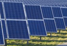 Le Tchad cherche des partenaires privés pour un projet solaire de près de 70 milliards de Fcfa Panneaux solaires