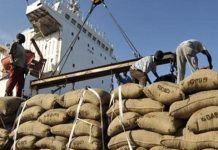 Au Cameroun, les exportations passent la barre de 1 000 milliards FCFA au 1er trimestre Exportation