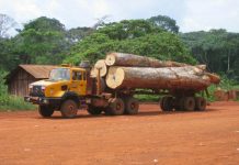 3,3 milliards Fcfa de l’AFD pour renforcer les compétences dans la filière forêt-bois en Afrique centrale Bois