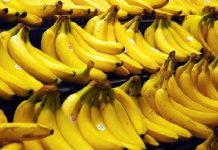 Au Cameroun, les exportations de bananes de PHP chutent en mai 2026