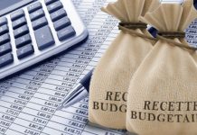 Le Cameroun prévoit de porter ses recettes budgétaires à près de 6500 milliards de Fcfa à l’horizon 2029 Recette budgetaire