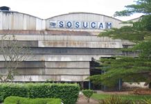 Sosucam mise sur sa nouvelle unité de production de sucre en morceaux à 2,5 milliards de Fcfa pour renforcer sa présence sur le marché local
