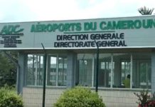 Au Cameroun, ADC table sur une hausse de 3,9 % de ses revenus en 2026