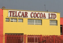 Telcar Cocoa reprend la tête des exportations camerounaises avec 40 631 tonnes cacao