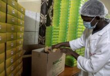 Le Cameroun sélectionne 5 premières entreprises pour impulser sa transformation structurelle