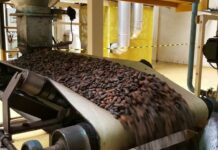 Ebolowa accueille une usine de cacao soutenue par le Japon, renforçant la filière camerounaise