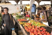 Au Cameroun, 87% du tissu productif reste informel
