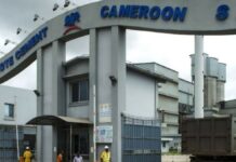 Dangote prépare une 2ᵉ cimenterie à Douala avec un investissement de près de 600 milliards de Fcfa