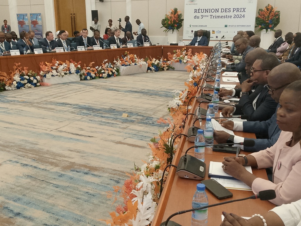 Le Congo compte réajuster les prix de ses bruts de référence - Business ...