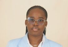 Les banques financent les États, pas le développement : le futur incertain du crédit aux PME en CEMAC