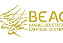 La BEAC officialise l’utilisation de son nouveau logo