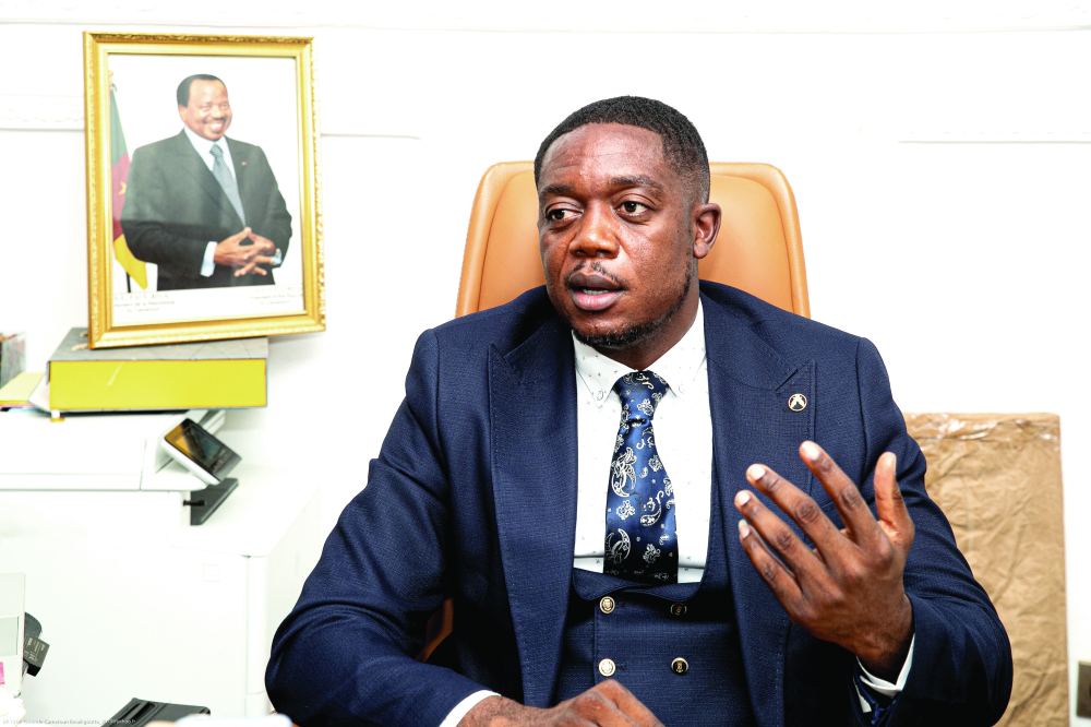Geovic Riachella Le gisement de cobalt, nickel et manganèse de Lomié-Nkamouna dans le ...
