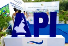 Au Cameroun, l’API sécurise 500 milliards Fcfa avec le groupe DYA pour l’émergence des secteurs stratégiques