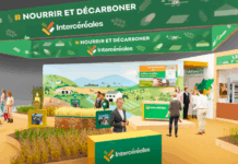 Intercéréales France et l’Union européenne entendent séduire les marchés africains de blé, en particulier le Cameroun