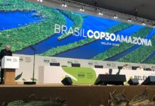 Afreximbank défend le développement durable et l’industrialisation de l’Afrique ainsi que la transition énergétique juste à la COP30