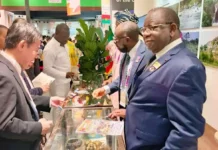 Le cacao camerounais affiche son potentiel sur le marché japonais