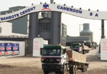 Dangote Cement a enregistré une baisse notable de 9,3 % de ses ventes au Cameroun