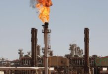 Le Gabon introduit une taxe sur les produits polluants pour réduire son empreinte écologique