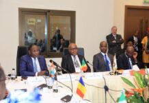 L’ivoirien Mamadou Sangafowa désigné à la présidence de l’APPO