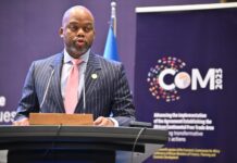 Le Secrétariat de la ZLECAf organise des auditions du secteur privé et une réunion d’information sur le PAPSS en marge du Sommet du G20