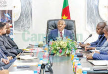 Le Cameroun annonce la production du fer de Nkout dans 6 mois