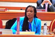 Le Cameroun renonce à un portefeuille économique majeur au sein de la CEEAC pour celui de la promotion du genre porté par la diplomate Nelly Banaken Elel