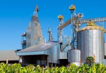 La BAD élargi son alliance avec le Fonds OPEP et le groupe TDB pour booster l’agro-industrialisation