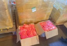 Saisie majeure de stupéfiants à l’Aéroport International de Douala