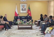 Le Cameroun explore la piste polonaise pour accélérer ses projets d’infrastructures de transport