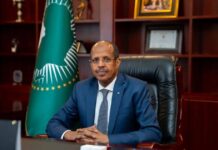 De la résolution à la réalité : concrétiser l’accès à l’eau et à l’assainissement pour « l’Afrique que nous voulons »