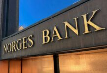 Bolloré perd l’appui financier du fonds souverain norvégien suite aux accusations de violations graves dans des plantations au Cameroun