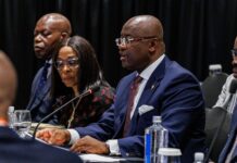 Afreximbank augmente son financement au Caricom et renforce les liens Afrique-Caraïbes