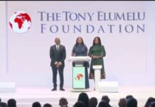 La Fondation Tony Elumelu prévoit 16 millions de dollars pour les 3 200 entrepreneurs sélectionnés en 2026