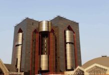 Au Cameroun, le Conseil économique et social fait son retour dans le débat public autour de la SND30