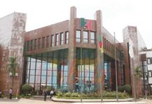 Murphy Oil et Octavia Energy retenues sur cinq blocs d’exploration au Cameroun