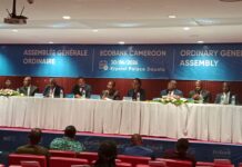Ecobank Cameroun affiche son plus haut niveau de résultat net jamais enregistré depuis le début de ses activités