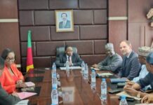 Le Cameroun et le Nigéria examine les conditions de poursuite du projet hydroélectrique de Dasin Hausa situé dans le septentrion