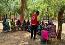 La Croix-Rouge camerounaise octroie une aide financière de 51,3 millions de francs CFA à 900 ménages à Yagoua