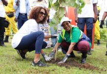 Journée mondiale de l’environnement : Orange Cameroun agi aujourd’hui pour préserver demain