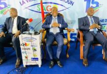 Plus de 100 sociétés minières traduit en justice au Cameroun