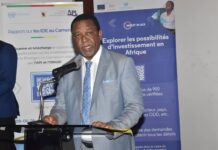 Le Cameroun confirme son pouvoir d’attraction auprès des investisseurs étrangers
