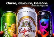 Le brasseur UCB investit 100 milliards de Fcfa dans une usine de production des boissons en canettes