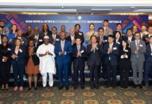 À Séoul, la Kita ET la ZLECAf inaugurent la première table ronde d’affaires du Comité économique Corée-Afrique