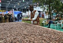 Un Sommet sur la valorisation du cacao dans un contexte de signature d’une alliance historique des 4 grands producteurs africains