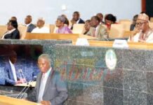 Au Cameroun, un audit de la Chambre des Comptes remet en question la valeur du portefeuille d’investissements publics de l’État