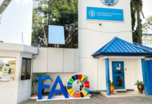 Le Cameroun et la FAO lancent un projet d’alerte précoce au changement climatique de 1,5 milliard de Fcfa dans l’Extrême-Nord