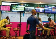 L’illusion du gain facile face à la réalité économique au Cameroun
