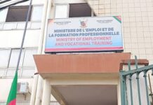 Le Cameroun enregistre 61 % des travailleurs étrangers hors du fichier officiel