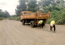 Le Cameroun modernise l’axe commercial stratégique vers la Guinée équatoriale pour faciliter le commerce transfrontalier