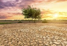 Réchauffement climatique : pourquoi le projet de protection de Nouakchott est porteur d’espoir pour d’autres cités côtières africaines